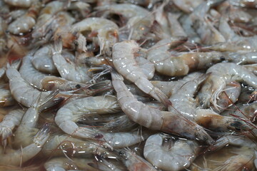 Fresh prawns are on ice for sale in the market.