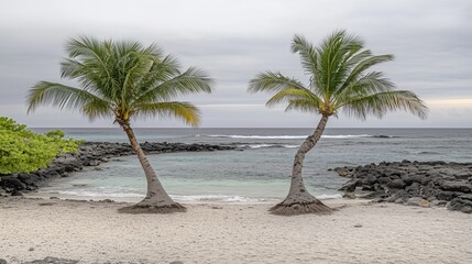 Tropical beach scene featuring two palm trees swaying gently by the shore with calm ocean waves and rocky coastline in the background, nature relaxation concept
