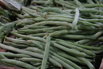 Green beans, also known as string beans, snap beans, or French beans, are young, unripe pods of the common bean plant. They are crisp, mildly sweet, and highly nutritious