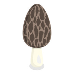 3D Isometric Flat Vector Set of Mushrooms, Fungus Plants. Item 8