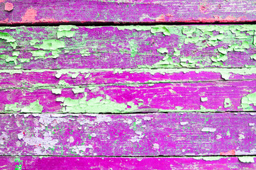 Texture background - old painted wooden surface with peeling paint of bright pink and green color....