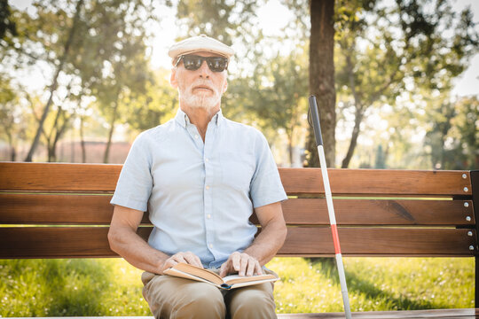 A senior vision-impaired man sits on a park bench under sunlight, reading a book in braille. He is accompanied by a white cane and surrounded by lush green foliage in a serene atmosphere.
