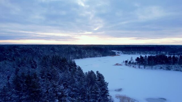 aerial view of winter forest landscape