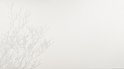 A white canvas with a single, delicate line drawing