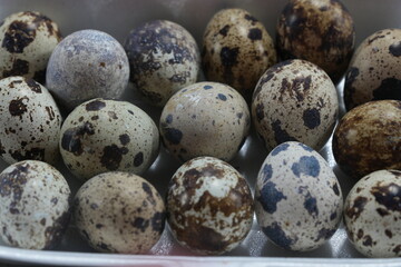 Obraz premium Quail eggs are small, speckled eggs laid by quails, primarily from species like the Japanese quail (Coturnix japonica). They are prized for their rich flavor, high nutritional value 