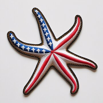 Bright starfish, Starfish patch, Starfish thread, Starfish sewn, Brisingida, Forcipulatida, Paxillosida, Notomyotida, Spinulosida, Valvatida, Velatida