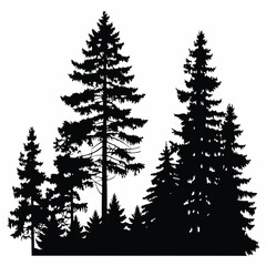 Fir trees silhouettes, Coniferous spruce horizontal background patterns, black evergreen woods vector illustration. Beautiful hand drawn panorama with treetops forest, forest silhouette