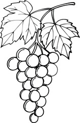 Obraz premium Hand-Drawn Illustration of Grapevine with Clusters and Leaves in Black and White