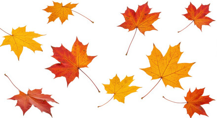 Autumn Leaves: Vibrant Fall Foliage Collection | Red, Orange & Yellow Maple Leaf Decor Elements for Design & Photography