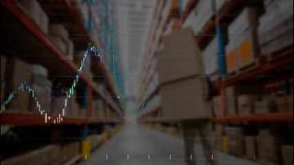 Carrying boxes in warehouse, person with stock market graphs overlaying animation - Powered by Adobe