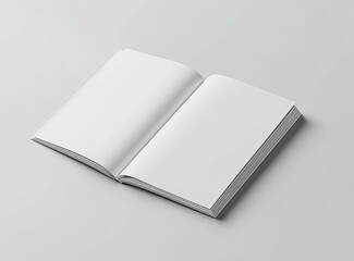 Open blank book, ready for design