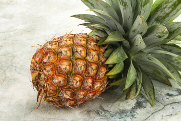 Tropical sweet exotic Pineapple fruit