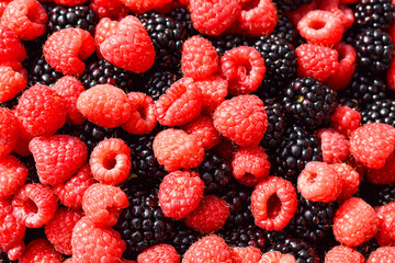 raspberries and blackberries