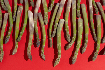 Green asparagus on red background. Vegetable food top view. Sprouts stems pattern