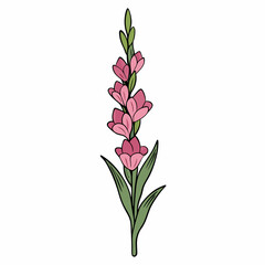 Gladiolus Blossom: A vibrant illustration of a gladiolus flower in full bloom, its elegant stem adorned with a series of colorful petals and lush green foliage, celebrating the beauty of nature.