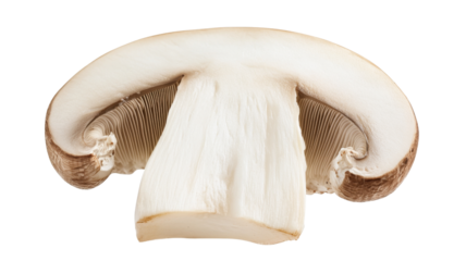 Sliced fresh mushroom showing gills and stem on transparent background