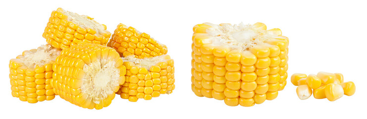 ear of corn isolated on a white background with full depth of field