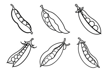 Fototapeta premium Pea pods sets icon vector on White Background ,Vector Art Illustration on white background.