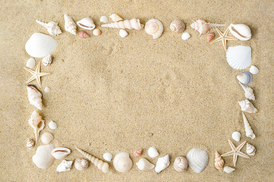 Top view of a sand with exotic seashells and starfish as natural textured background for aesthetic summer design. Beach-inspired mix of sand, shells, and stones, ideal for nature and travel visuals