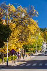 Jesienna ulica w Krynicy. © Jacek