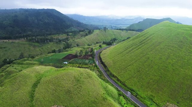 Stunning aerial footage tracking winding roads through vast green hills and geothermal power pipelines, surrounded by misty grasslands in Wurung Crater, Indonesia.