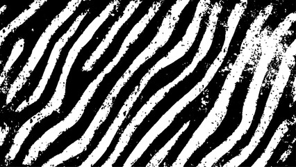 Texture with plain black and white zebra pattern, Black and white wavy stripes.  Abstract background. abstract graffiti shape in black and white, aligned with viewer’s perspective.