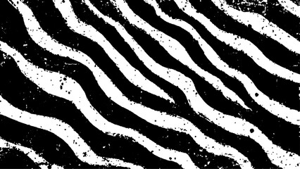 Texture with plain black and white zebra pattern, Black and white wavy stripes.  Abstract background. abstract graffiti shape in black and white, aligned with viewer’s perspective.