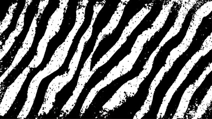 Texture with plain black and white zebra pattern, Black and white wavy stripes.  Abstract background. abstract graffiti shape in black and white, aligned with viewer’s perspective.