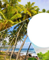 Coconut palm garden, beach and tropical landscapes. Collage. Mosaic pattern.