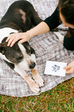 woman and dog with paw print art