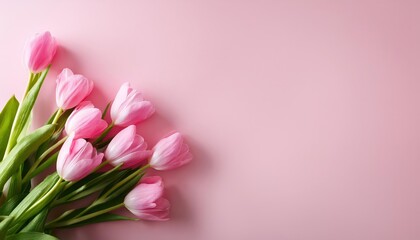 Vibrant Bouquet of Pink Tulips Against a Soft Pastel Backdrop A Symphony of Spring Colors and Textures Showcasing the Beauty of Natures Rebirth, Ideal for Digital Art, Home Decor, or Design