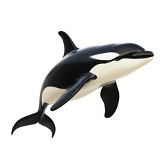 Obraz premium Realistic Killer Whale (Or-ca) Isolated on Transparent Background