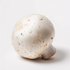 white mushroom isolated on white