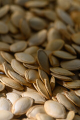 Harvested pumpkin seeds spread out under warm sunlight showcasing their natural beauty