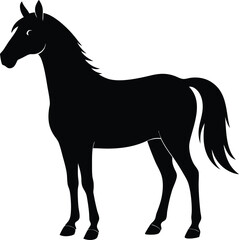 Morgan Horse Silhouette, Horse Silhouette Icon Vector