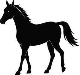 Morgan Horse Silhouette, Horse Silhouette Icon Vector