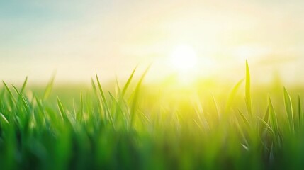 Fototapeta premium Wind turbines on a grassy field during sunrise, renewable energy concept, bright natural colors, soft lighting