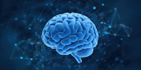 The Human Brain: A 3D Digital Representation of the Complex Neurological Network