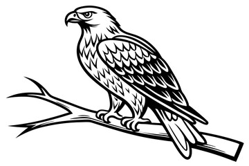 Obraz premium Falcon Vector Art on White Background. Stunning Bird Illustration