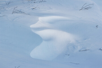 Small snow dune blown by the wind