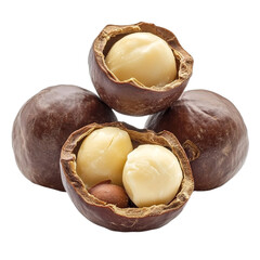 Delicious Macadamia nuts ready to eat healthy snack