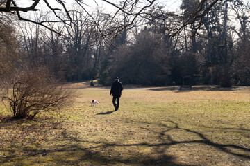 An elderly man walking his small dog through a spacious park on a sunny day. The vast open field and leafless trees suggest early spring or late autumn.
