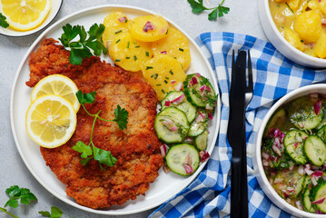 Traditional Viennese schnitzel on a plate with cucumber and potato salad.selective focus