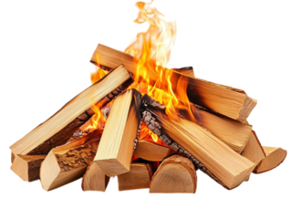 Bonfire made of firewood isolated on transparent background