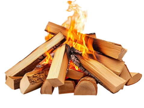 Bonfire made of firewood isolated on transparent background