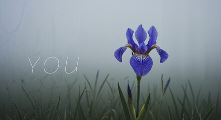 Purple iris flower in misty field with "YOU" text overlay