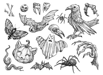 Halloween themed illustrations featuring bats, spiders, and eerie creatures in black and white style.
