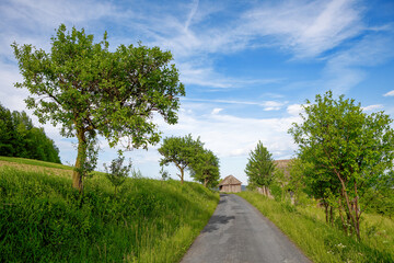 Rural farm with old wooden hut Carpatians