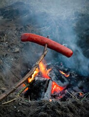 Grilled sausage on the background of a campfire. adventure, travel, tourism and camping concept.