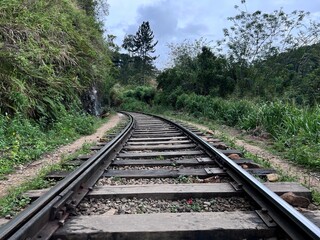 railway in the jungle after rain on a cloudy day